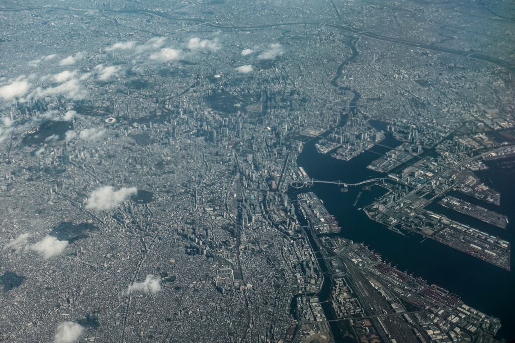 tokyo metropolis