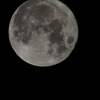 christmas full moon