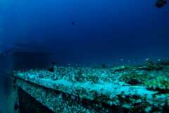 wreck diving 04