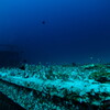 wreck diving 04