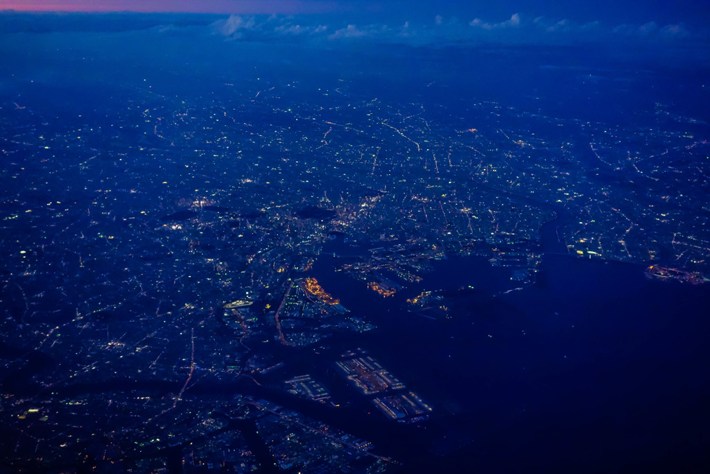tokyo bird's eye view