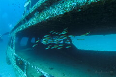 wreck diving 01