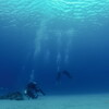 four divers