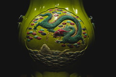 fish and dragon