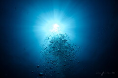 underwater world 10