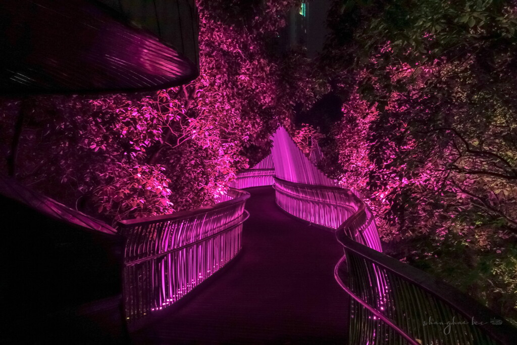 pink pedestrian bridge