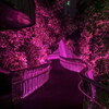 pink pedestrian bridge