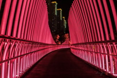 pink overhead walkway 01