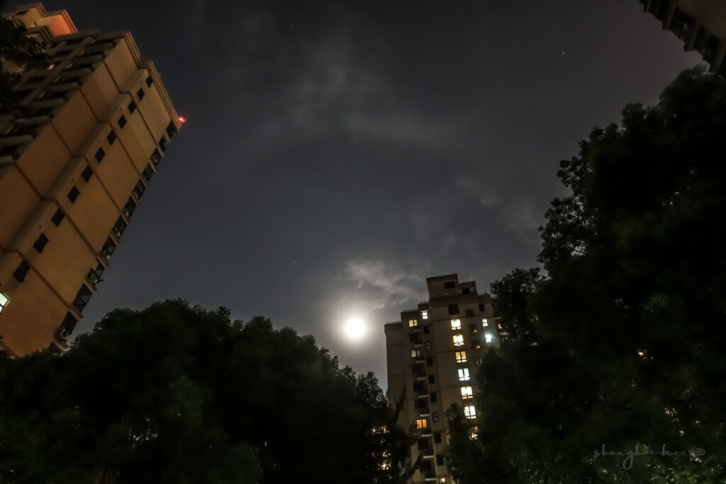 moon halo