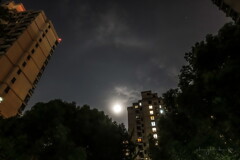 moon halo