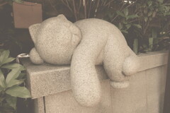 sleeping stone cat of mitsumine shrine