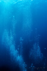 rising bubbles