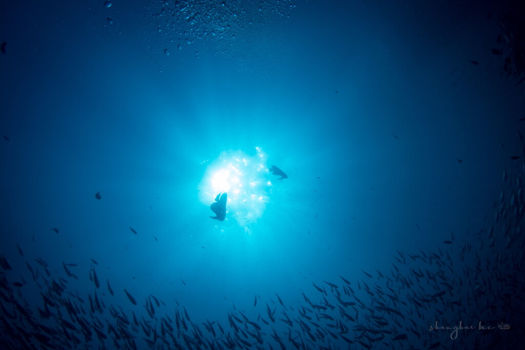 underwater world 02