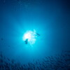underwater world 02