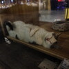 pet shop cats 03