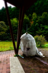 totoro in yanadani