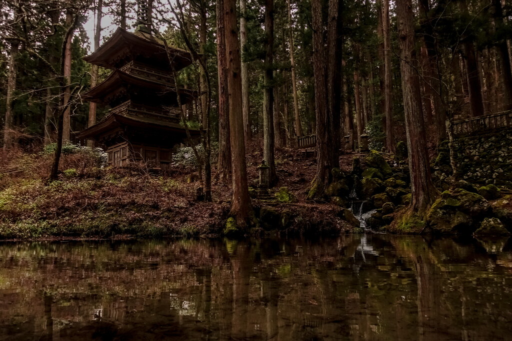 kozen-ji temple~garden