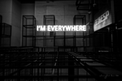 i'm everywhere