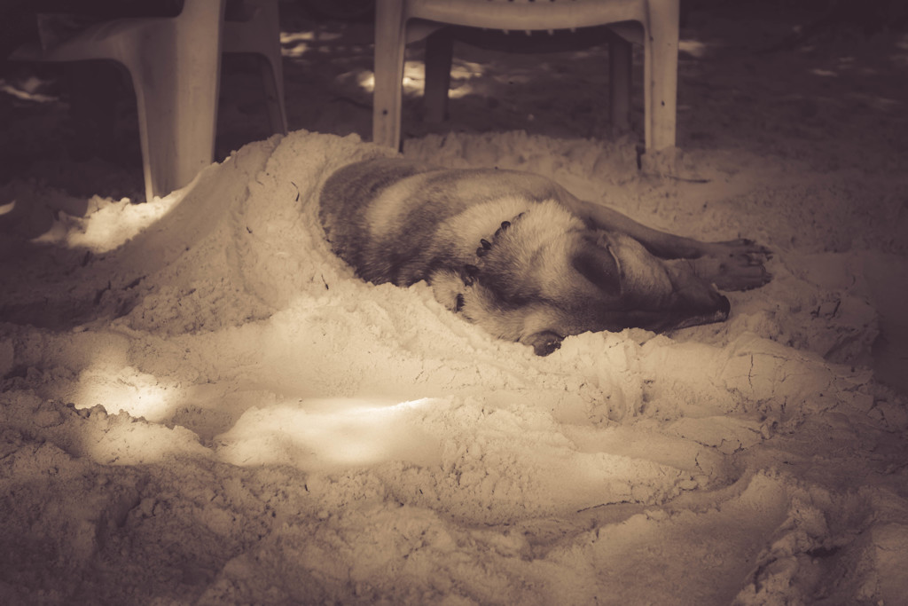 nap at the beach