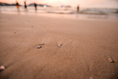 patong beach sunset