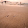 patong beach sunset