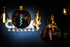 colored edison light bulb