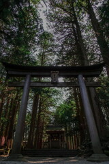 fuji sengen Shrine~soreisya