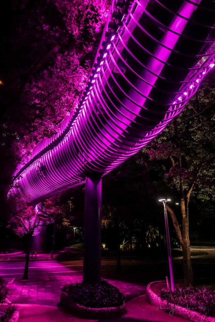 illuminated tube