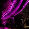 illuminated tube