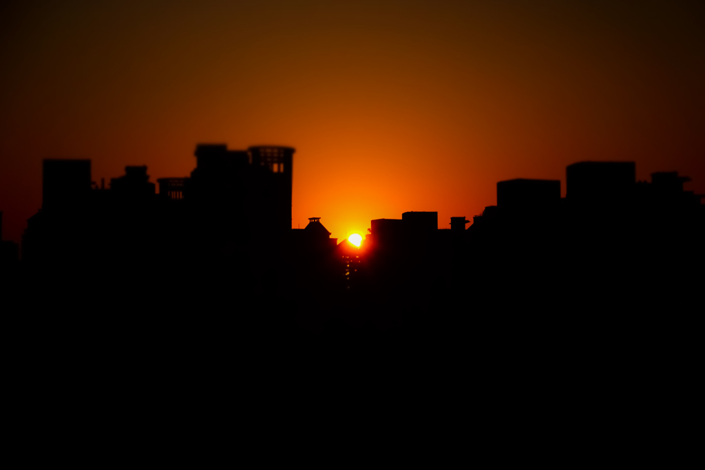 sunrise and silhouette