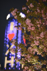 xujiahui and yaezakura
