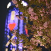xujiahui and yaezakura