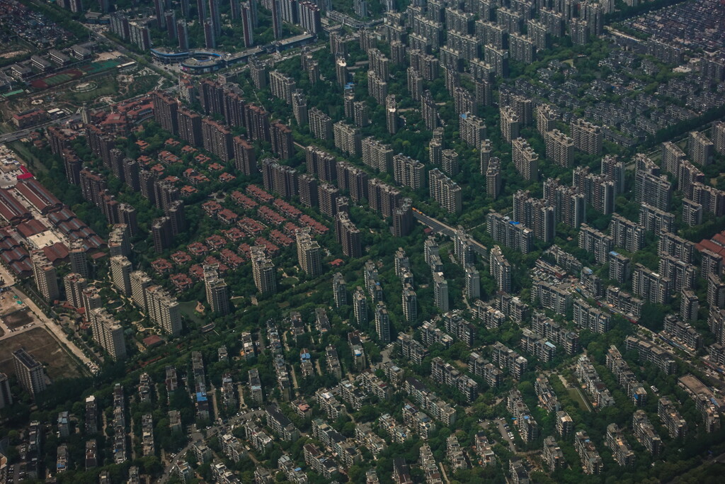 forest of buildings