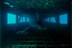 wreck diving 03