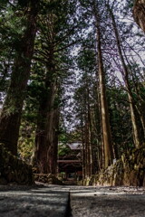 kozen-ji temple~approach