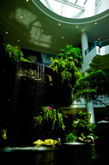 the mall
