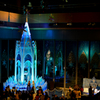illumination ~ frozen