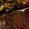 kozen-ji temple~clear water