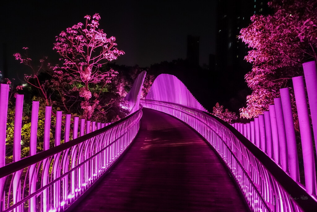 pink overhead walkway 02