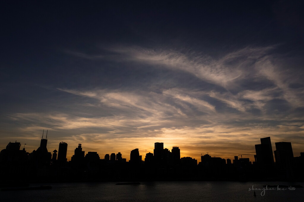 silhouette shanghai