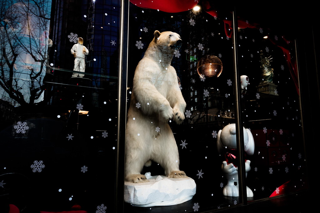 xindiandi~polar bear