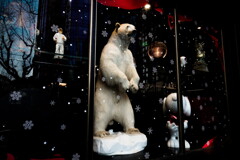 xindiandi~polar bear