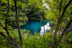 the secret place in shikoku_01