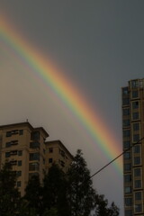vivid rainbow