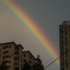 vivid rainbow