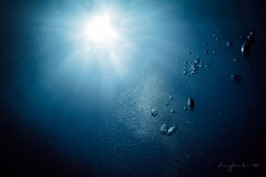underwater world 06