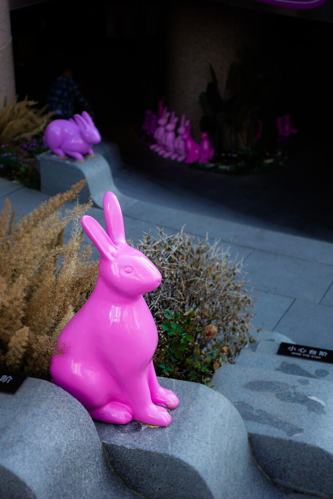 pink rabbit