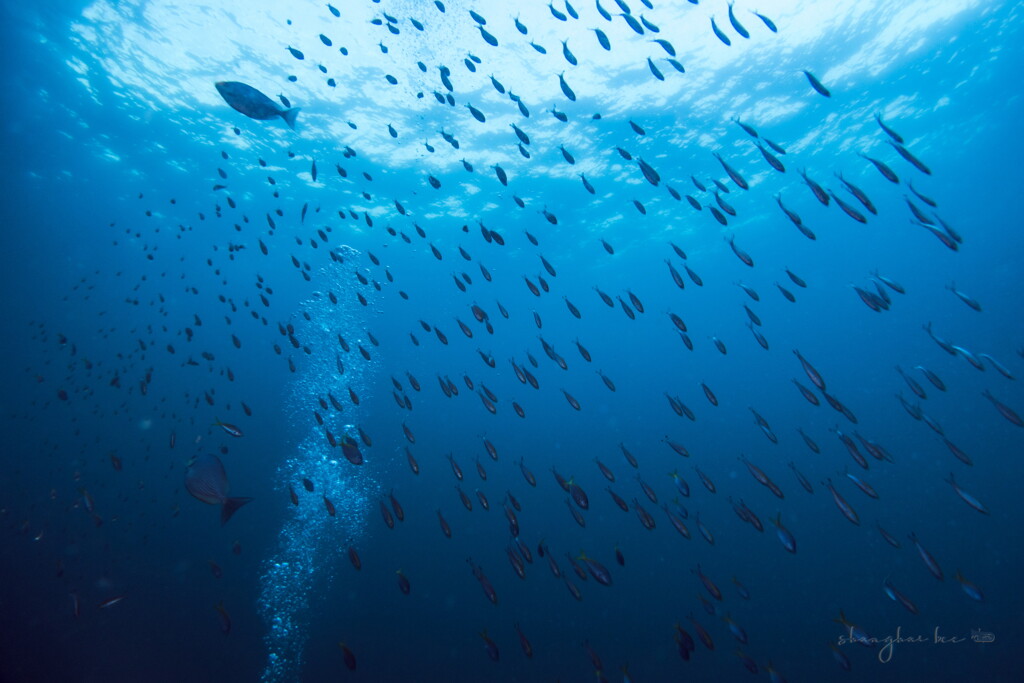 underwater world 01