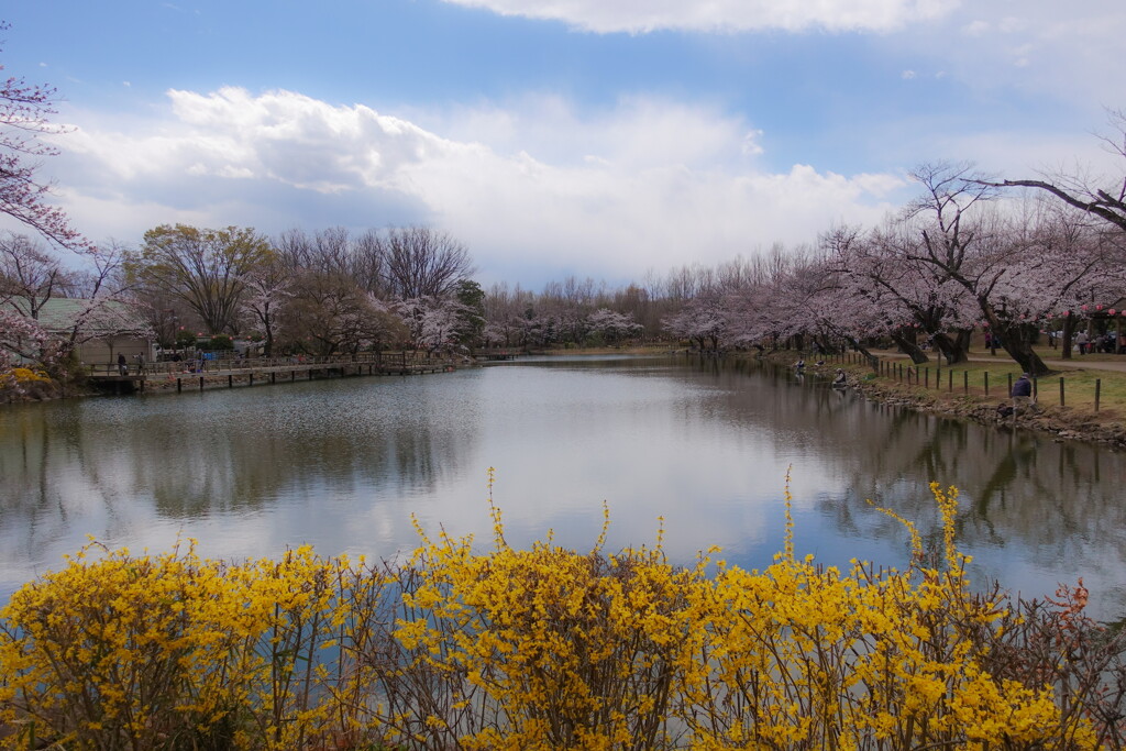 tsurugashima city sports park