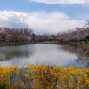 tsurugashima city sports park